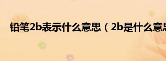 铅笔2b表示什么意思（2b是什么意思啊）