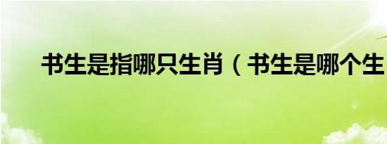 书生是指哪只生肖（书生是哪个生肖）