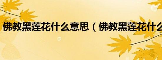 佛教黑莲花什么意思（佛教黑莲花什么意思）