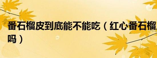 番石榴皮到底能不能吃（红心番石榴皮可以吃吗）