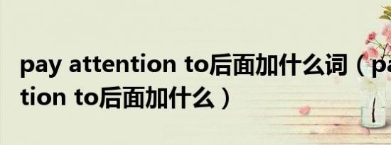 pay attention to后面加什么词（pay attention to后面加什么）