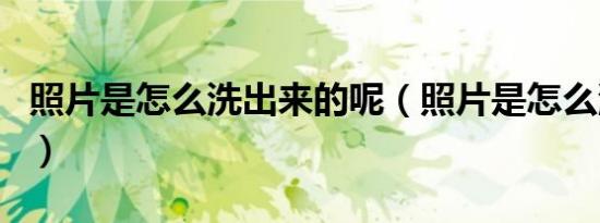 照片是怎么洗出来的呢（照片是怎么洗出来的）
