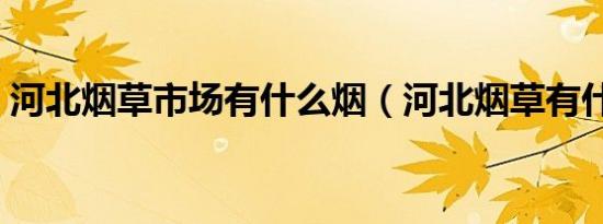 河北烟草市场有什么烟（河北烟草有什么烟）