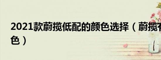 2021款蔚揽低配的颜色选择（蔚揽有哪些颜色）