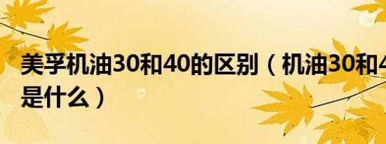 美孚机油30和40的区别（机油30和40的区别是什么）