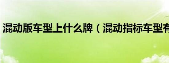 混动版车型上什么牌（混动指标车型有哪些）
