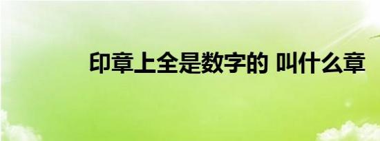 印章上全是数字的 叫什么章