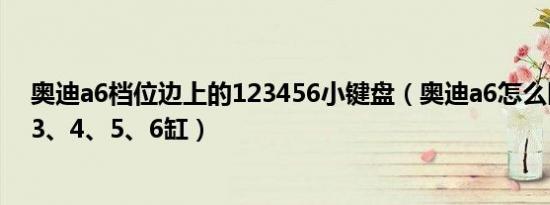 奥迪a6档位边上的123456小键盘（奥迪a6怎么区分1、2、3、4、5、6缸）