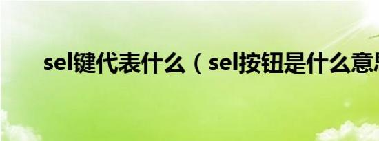 sel键代表什么（sel按钮是什么意思）