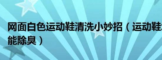 网面白色运动鞋清洗小妙招（运动鞋怎么洗才能除臭）