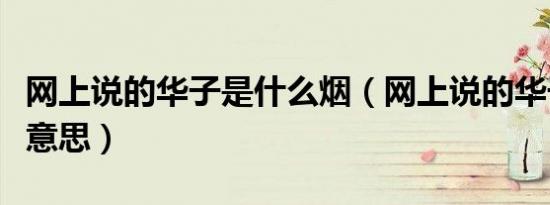 网上说的华子是什么烟（网上说的华子是什么意思）