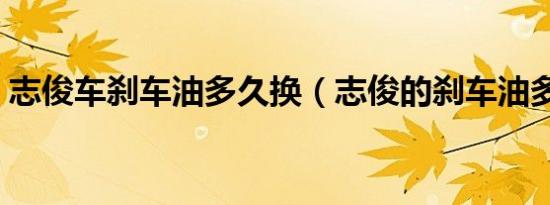 志俊车刹车油多久换（志俊的刹车油多久换）