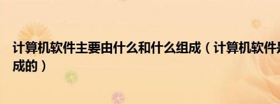 计算机软件主要由什么和什么组成（计算机软件是由什么组成的）