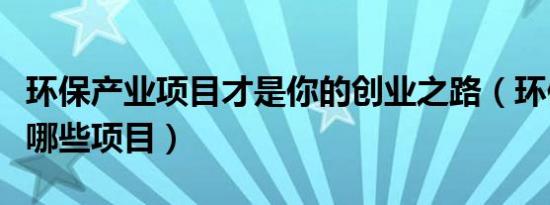 环保产业项目才是你的创业之路（环保产业有哪些项目）