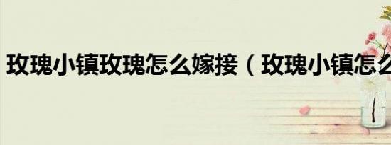 玫瑰小镇玫瑰怎么嫁接（玫瑰小镇怎么嫁接）
