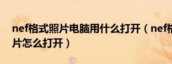 nef格式照片电脑用什么打开（nef格式的照片怎么打开）