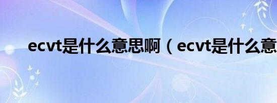 ecvt是什么意思啊（ecvt是什么意思）