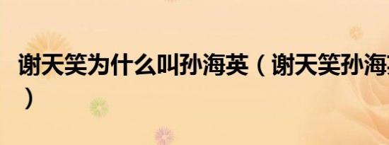 谢天笑为什么叫孙海英（谢天笑孙海英什么梗）