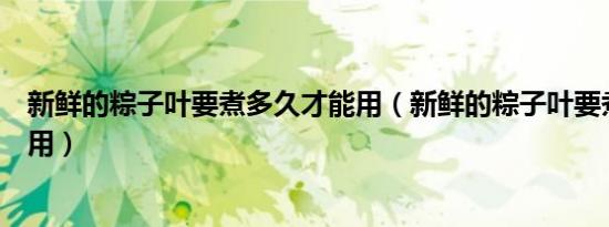新鲜的粽子叶要煮多久才能用（新鲜的粽子叶要煮多久才能用）