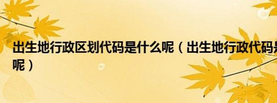 出生地行政区划代码是什么呢（出生地行政代码是什么意思呢）