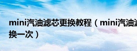 mini汽油滤芯更换教程（mini汽油滤芯多久换一次）