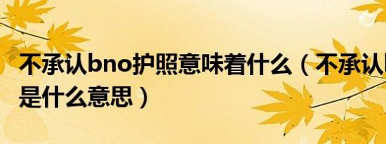 不承认bno护照意味着什么（不承认bno护照是什么意思）