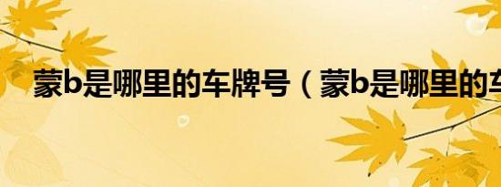 蒙b是哪里的车牌号（蒙b是哪里的车牌）
