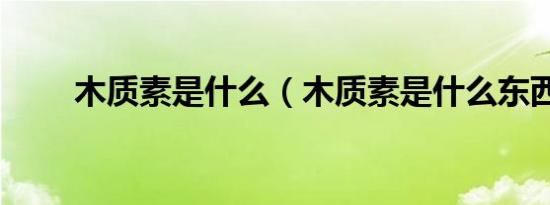 木质素是什么（木质素是什么东西）