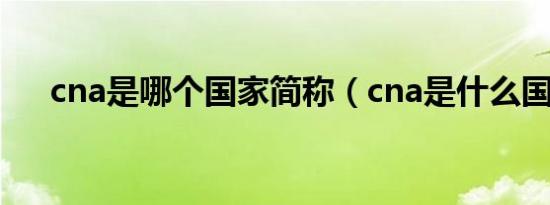 cna是哪个国家简称（cna是什么国家）