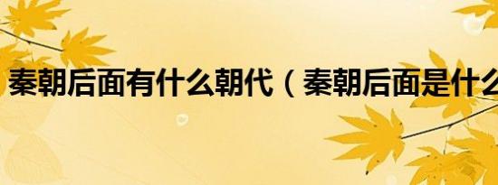 秦朝后面有什么朝代（秦朝后面是什么朝代）