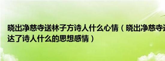晓出净慈寺送林子方诗人什么心情（晓出净慈寺送林子方表达了诗人什么的思想感情）