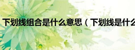 下划线组合是什么意思（下划线是什么意思）