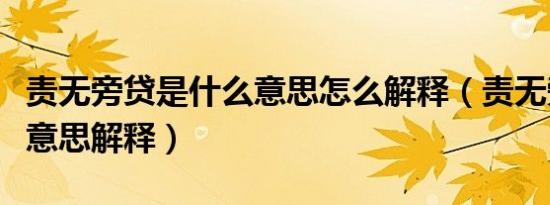 责无旁贷是什么意思怎么解释（责无旁贷什么意思解释）