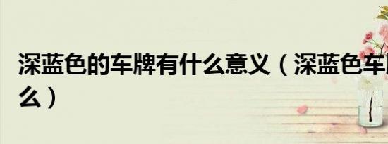 深蓝色的车牌有什么意义（深蓝色车牌代表什么）