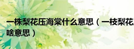 一株梨花压海棠什么意思（一枝梨花压海棠是啥意思）