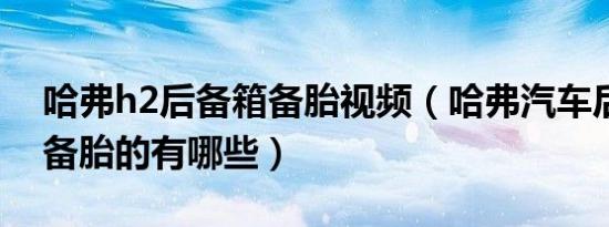 哈弗h2后备箱备胎视频（哈弗汽车后备箱带备胎的有哪些）
