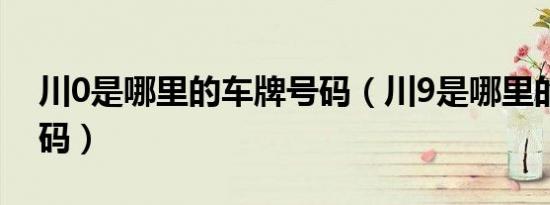 川0是哪里的车牌号码（川9是哪里的车牌号码）