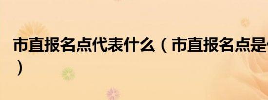 市直报名点代表什么（市直报名点是什么意思）