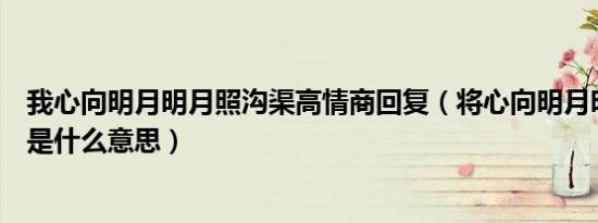 我心向明月明月照沟渠高情商回复（将心向明月明月照沟渠是什么意思）