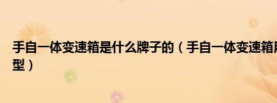 手自一体变速箱是什么牌子的（手自一体变速箱用于哪些车型）