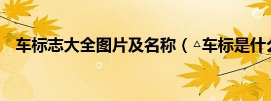 车标志大全图片及名称（△车标是什么车）