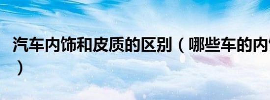 汽车内饰和皮质的区别（哪些车的内饰是皮质）