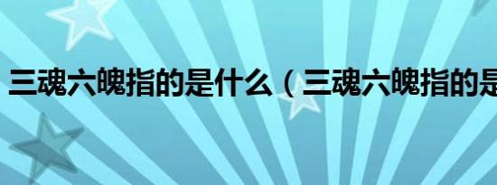 三魂六魄指的是什么（三魂六魄指的是什么）