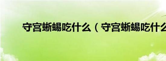 守宫蜥蜴吃什么（守宫蜥蜴吃什么）