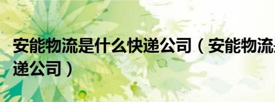 安能物流是什么快递公司（安能物流是什么快递公司）