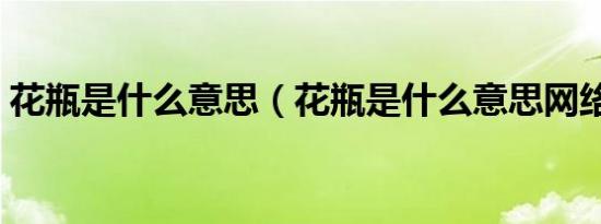 花瓶是什么意思（花瓶是什么意思网络用语）