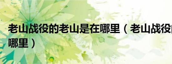 老山战役的老山是在哪里（老山战役的老山在哪里）