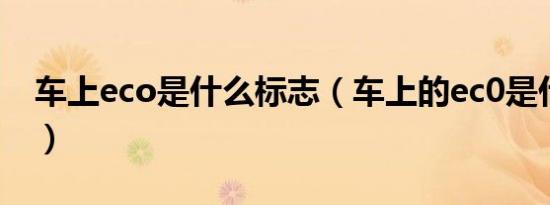 车上eco是什么标志（车上的ec0是什么意思）