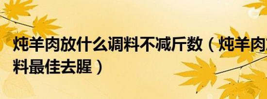 炖羊肉放什么调料不减斤数（炖羊肉放什么调料最佳去腥）