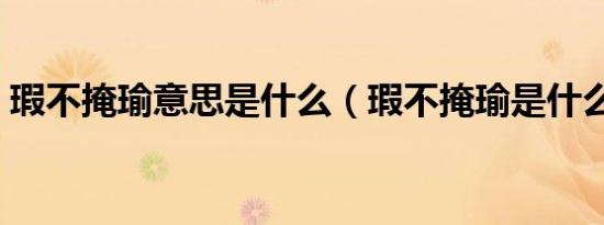 瑕不掩瑜意思是什么（瑕不掩瑜是什么意思）